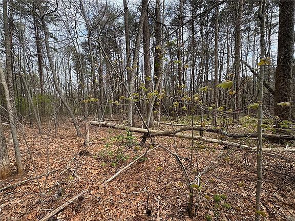 4th image of 0 Brims Grove Rd