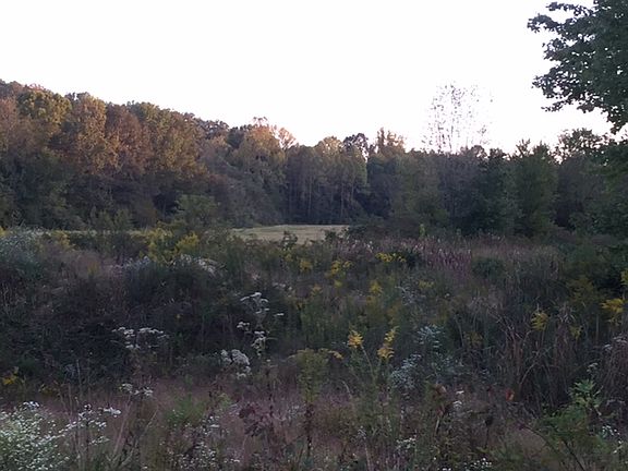 2nd image of 1313 Bratton Br