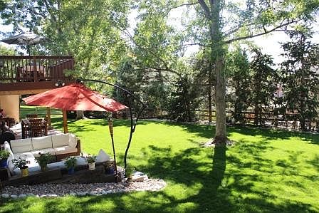 Back yard_05242016