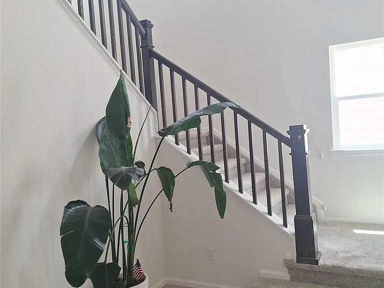 5741 Mammoth Ln — Photo 23
