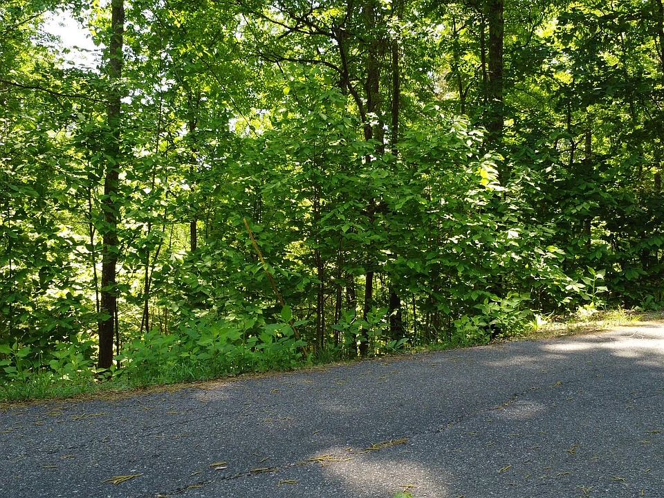 1st image of Deer Run Point #4B