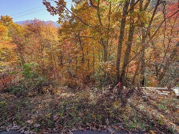 4th image of LOT Fifteen Heiden Cir