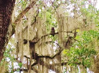 115 Belle Rd, Melrose, FL 32666