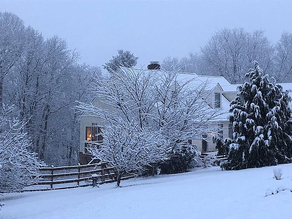 Mature fruit trees evergreen