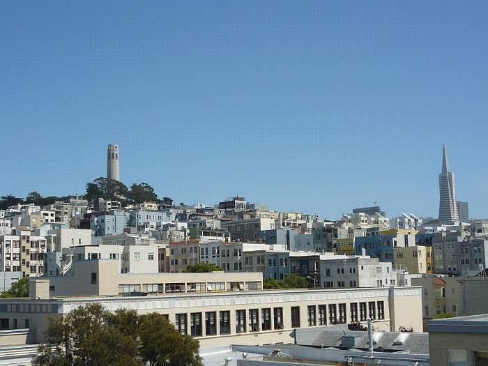 Roof view of Coit Tower, Peter and Paul church, Trans America Building and more.
