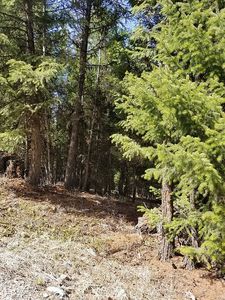 LOT 11 Tamarack Ln, Rexford, MT, 59930