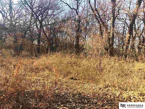4th image of LOT 1 Glen Oaks Dr