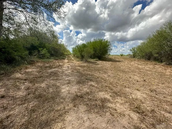 County Road 408, Falfurrias, TX 78355