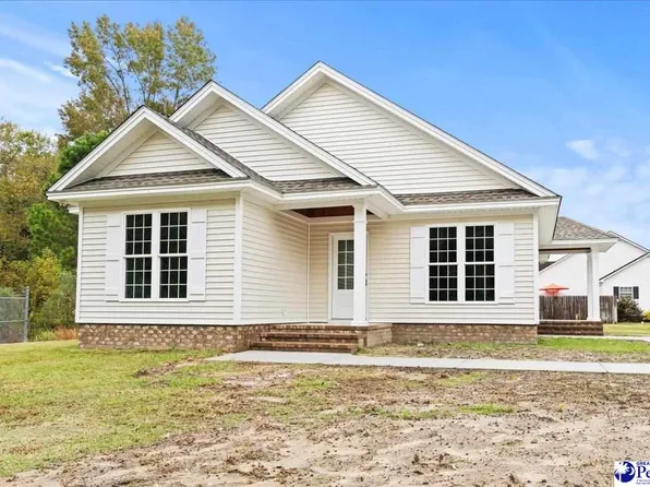 156 Luther Rogers Rd, Marion, SC 29571