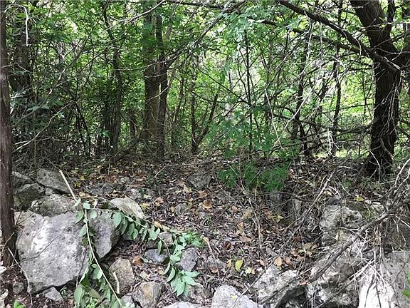 5th image of 7808 Williamson Creek Dr