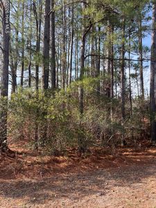 9406 Old Salem Way NW, Calabash, NC, 28467
