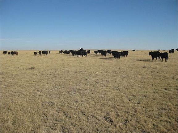 5th image of 50240 County Road 97