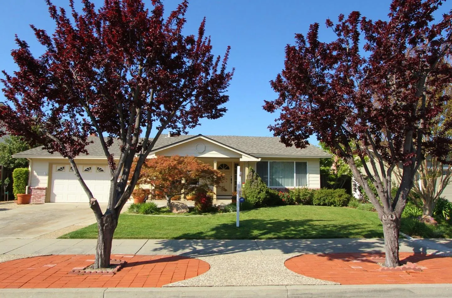 1235 Pampas Dr photo 1