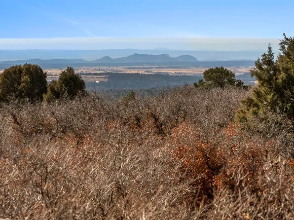Lot 13 Roberts Ridge, Hesperus, CO 81326