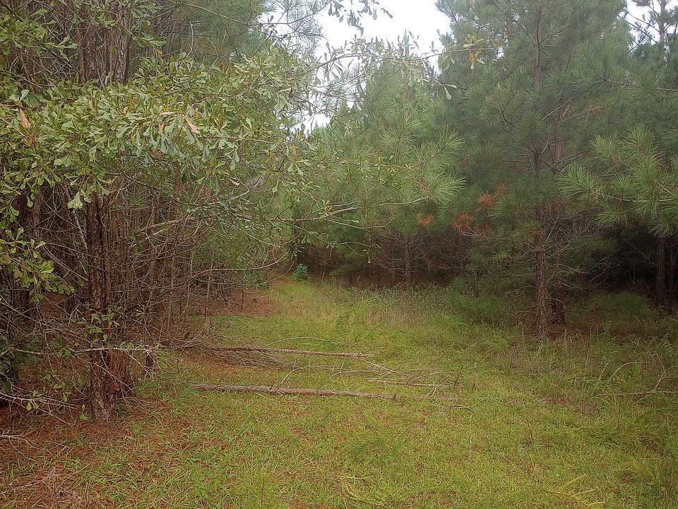 0 Salter Rd, Bartow, GA 30413 MLS 20148239 Zillow