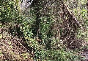 1st image of 0 Harmony Ave