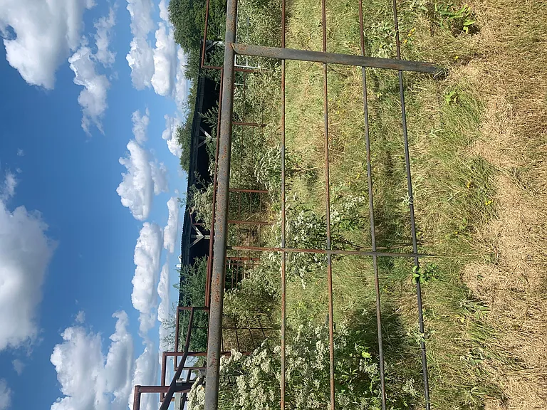 2339 W FM 898 — Photo 37