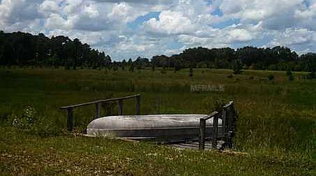 4th image of 24707 Palmetto Dr