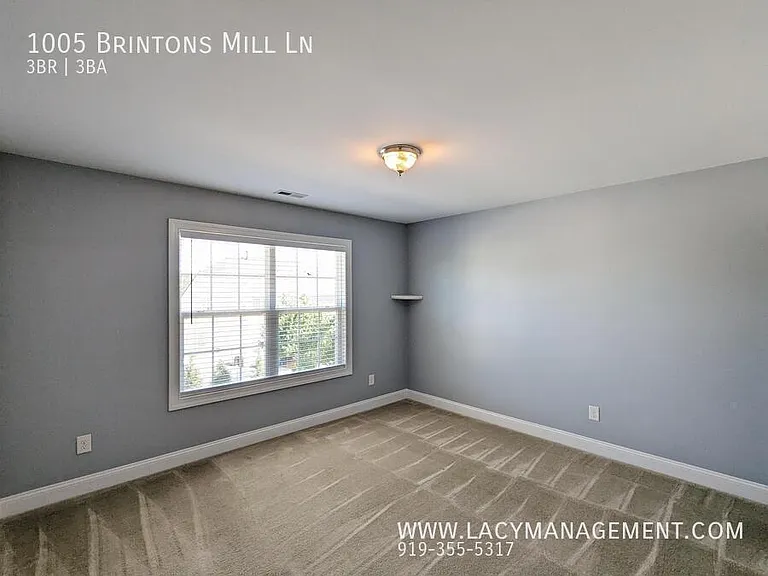 1005 Brintons Mill Ln — Photo 16