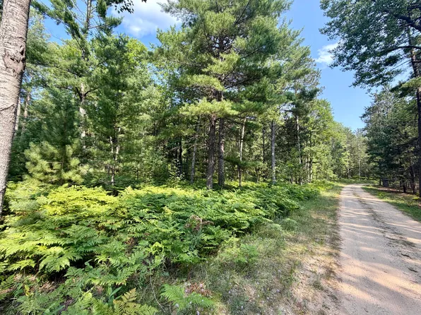 Nature Ridge Trl, Vanderbilt, MI 49795
