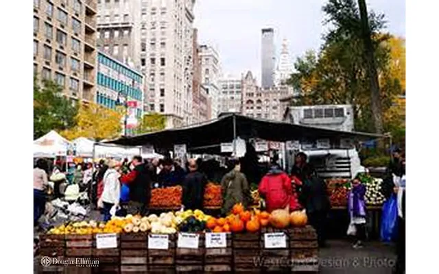 Rented by Douglas Elliman | media 3