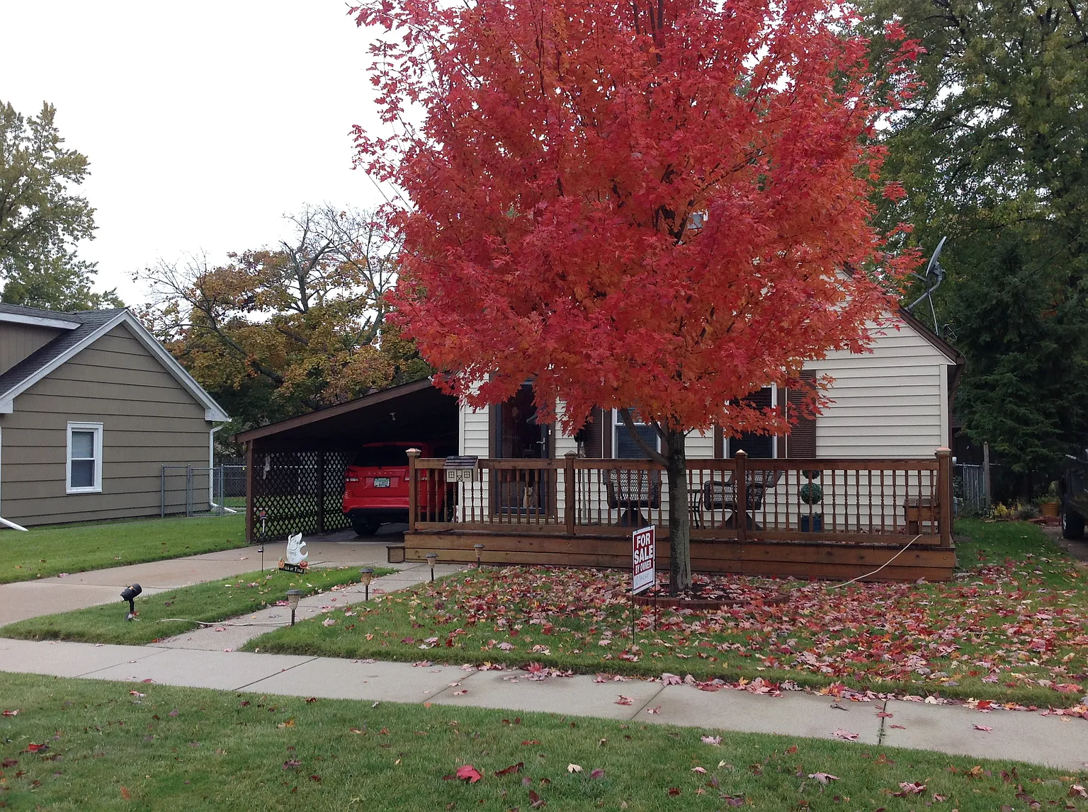 3129 Omar St photo 1