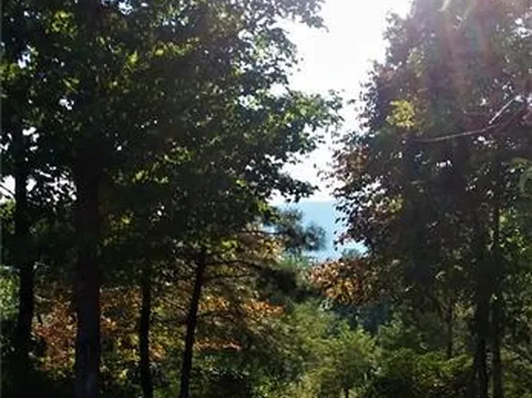 190 Stonefly Dr, Horse Shoe, NC 28742