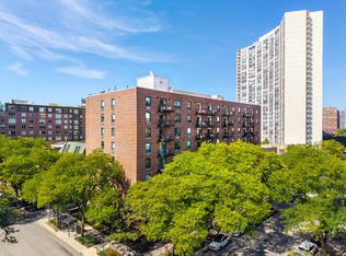 3900 N Pine Grove Ave APT 911, Chicago, IL 60613