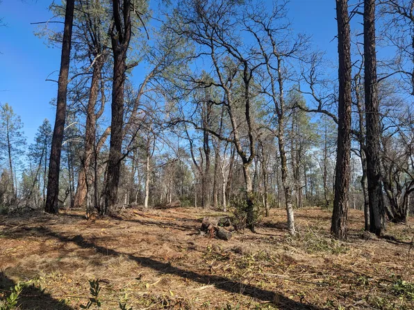 Silver King Rd Lot 1, Redding, CA 96001