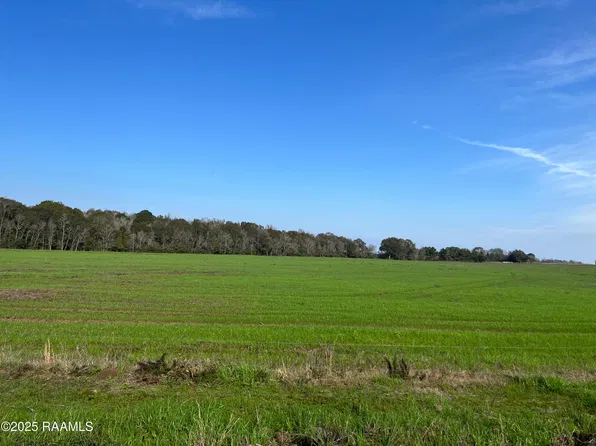 0 Old Basile Hwy, Basile, LA 70515