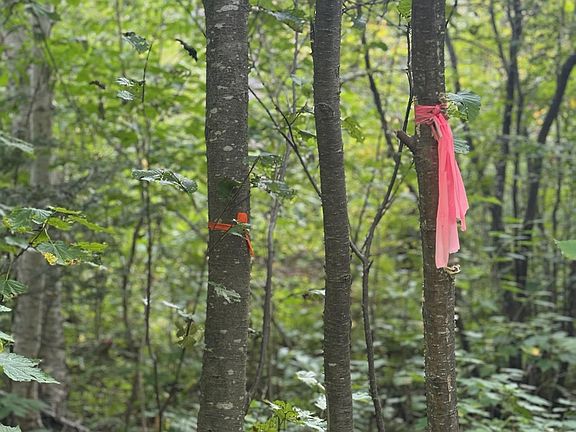 2nd image of S Lost Lake Rd