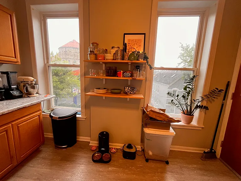 3227 S Carpenter St #3F — Photo 14