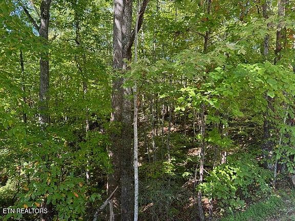 4th image of LOT 17 Deer Path Ln