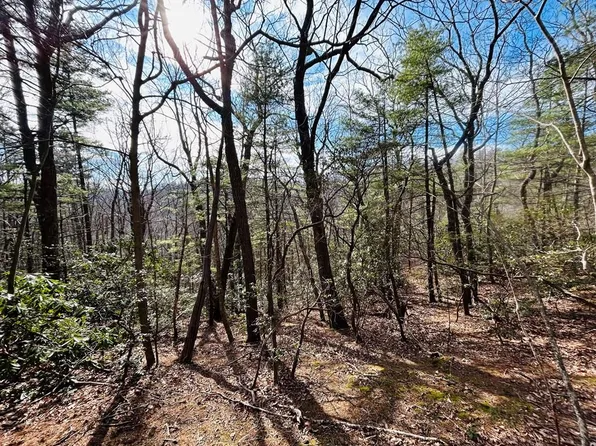 Tbd Chalet Dr, Fancy Gap, VA 24328