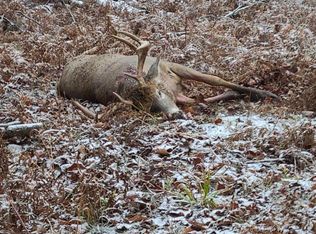 22 Mile Rd, Marion, MI 49665