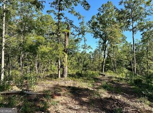 4.43 Lawrence Rd, Dawsonville, GA 30534