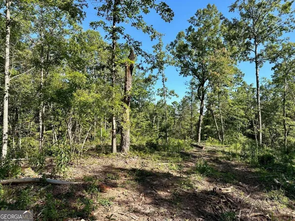 4.43 Lawrence Rd, Dawsonville, GA 30534