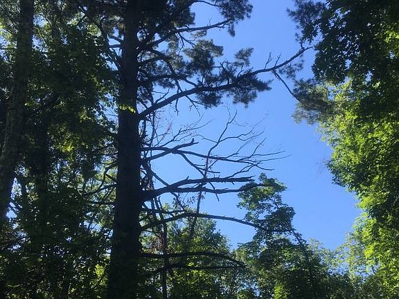 3rd image of Camp Lincoln Rd