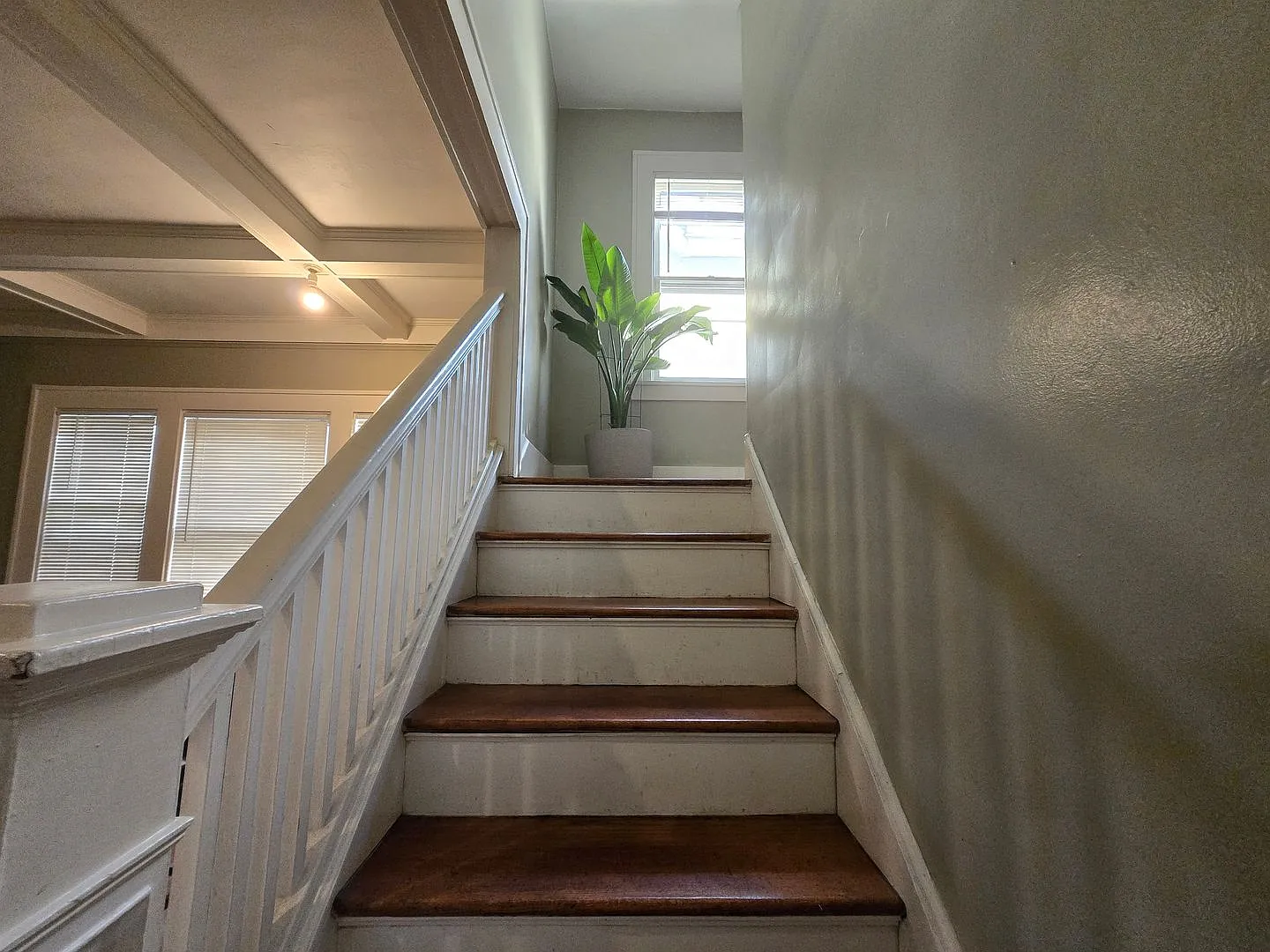 51-53 Morningside Park — Photo 2