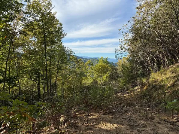 345 Cardinal Bluff Dr, Whittier, NC 28789