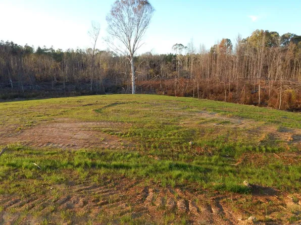 3 County Road 309, Calhoun City, MS 38916