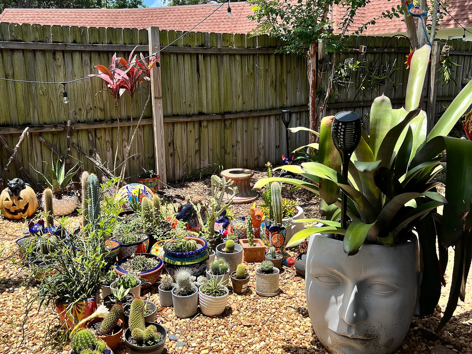 2 bed, 800 sqft, $2,000 — Photo 3