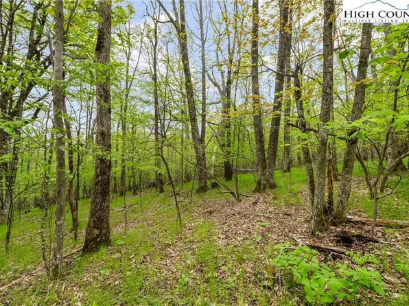 TBD Woods Road, Boone, NC 28607