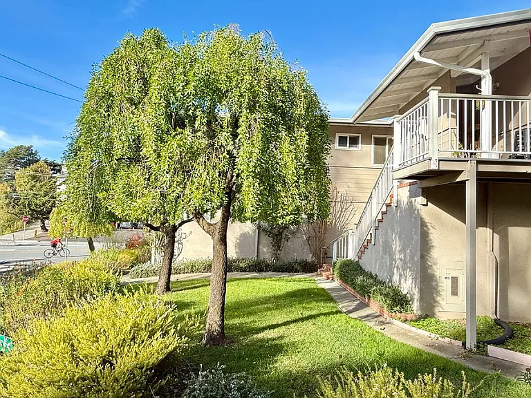 100 Belvedere Dr #7 — Photo 13