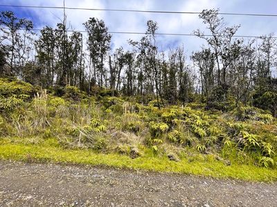 11-2819 Kahaualea Rd, Volcano, HI, 96785