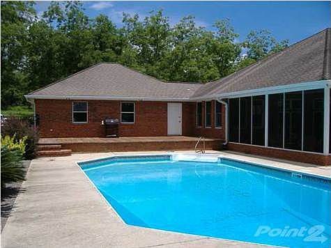 Pool and patio