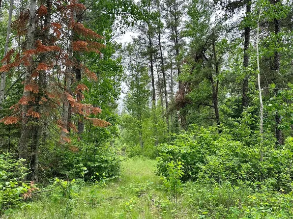 1st St NW, Menahga, MN 56464