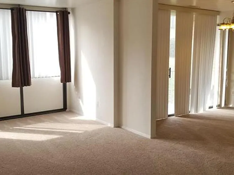 491 N Armistead St #101 — Photo 5