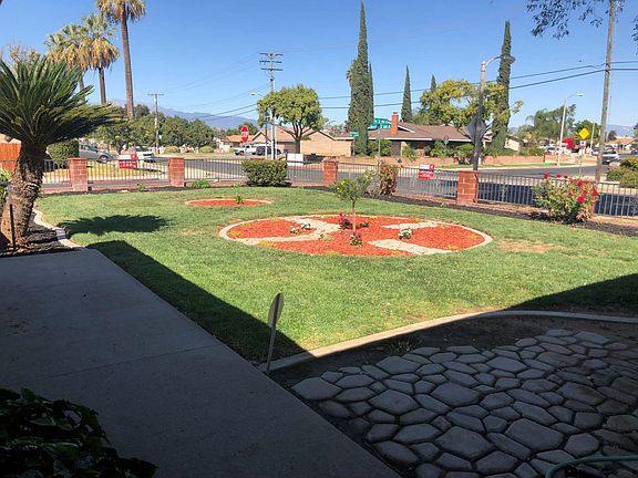 Current Pic of the flowers in front yard..