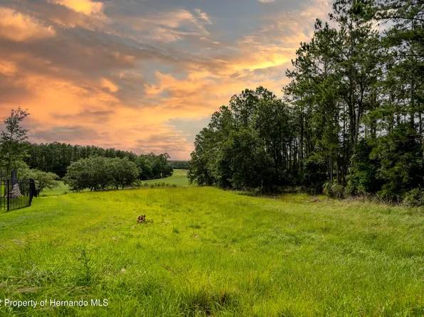 5409 Grand Summit Dr, Brooksville, FL 34601